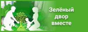 Зеленый двор вместе